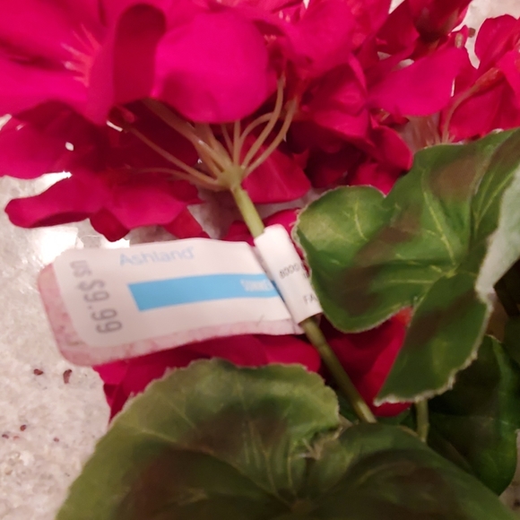 Ashland Accents Nwt Faux Floral Poshmark